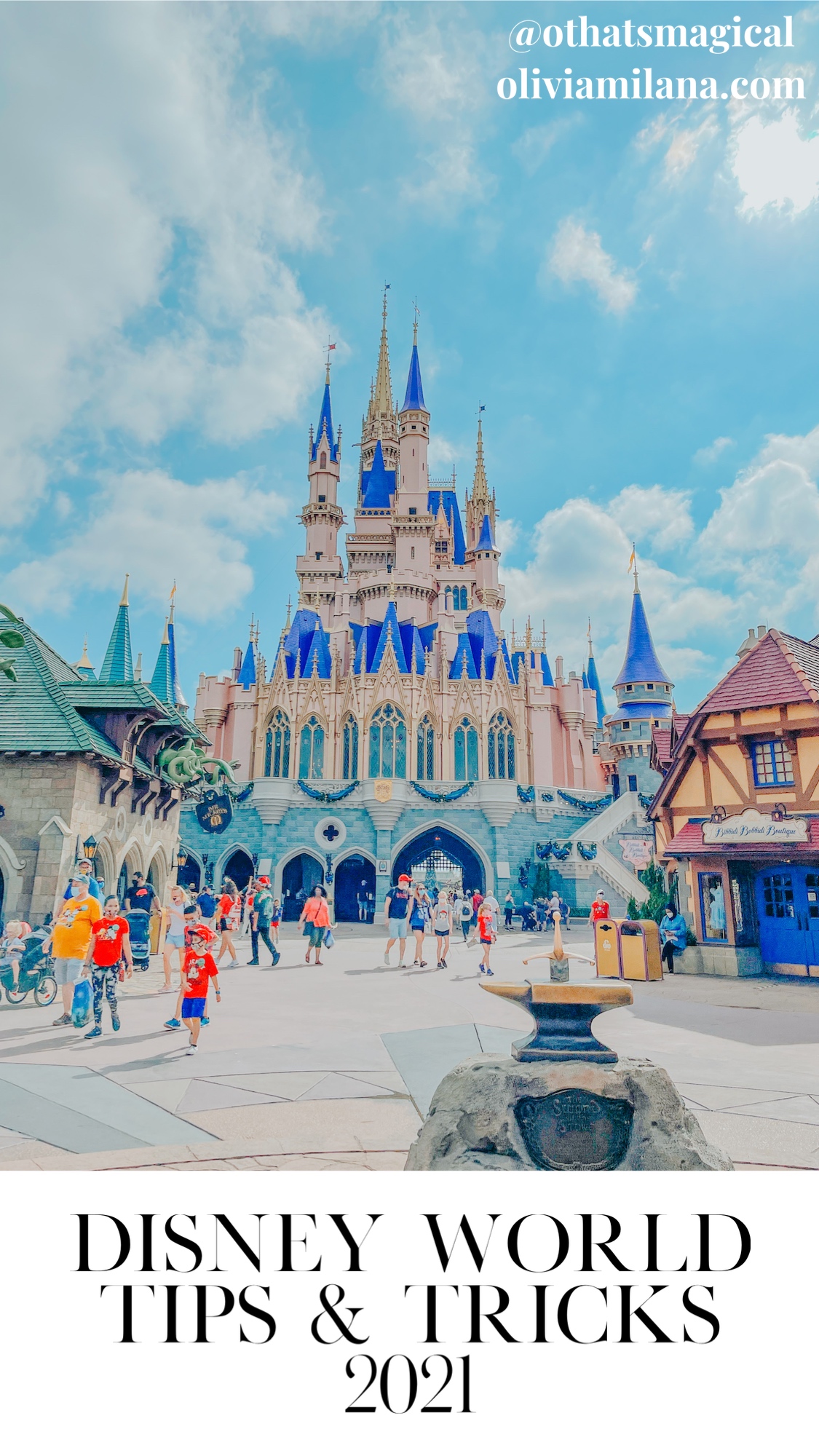 Disney World Park Tips And Tricks For 2021